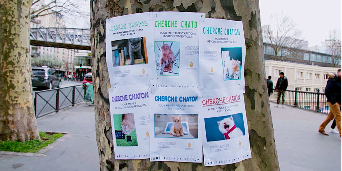 chaton-d-or-affiches-2018