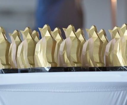 Palmarès des Chatons d'Or Remise des prix de la 7ème édition des chatons dor