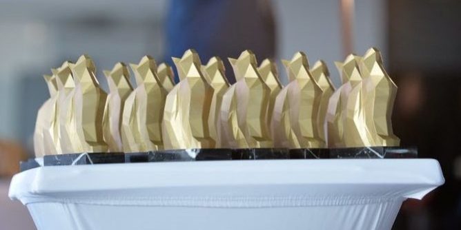 Chaton-d-or Palmarès des Chatons d'Or Remise des prix de la 7ème édition des chatons dor