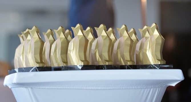 Palmarès des Chatons d'Or Remise des prix de la 7ème édition des chatons dor